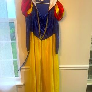 Plus Size Snow White Costume